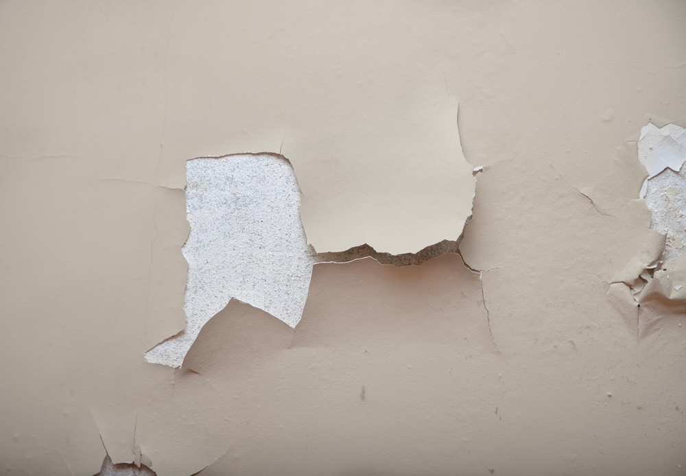 exterior painting in florida humidity